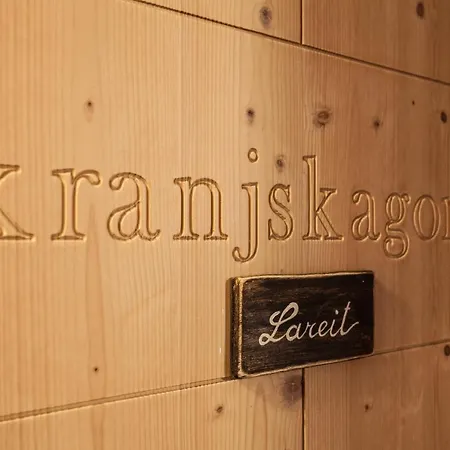 Lägenhetshotell Lareit